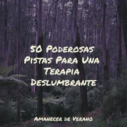 50 Poderosas Pistas Para Una Terapia Deslumbrante - Guitarra Clásica Española