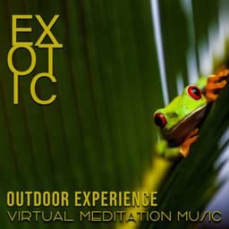 Exotic Outdoor Experience - Exotic Area Zen