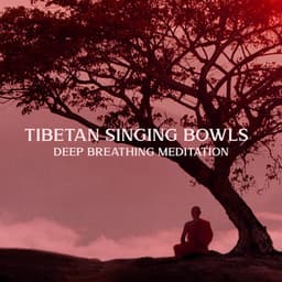Tibetan Singing Bowls – Deep Breathing Meditation For Improving Sleep & Pain Relief - Meditation Needed