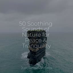 50 Soothing Sounds of Nature for Peace & Tranquility - Musica Reiki