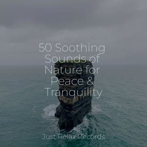 50 Soothing Sounds of Nature for Peace & Tranquility - Musica Reiki