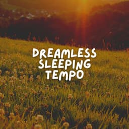 Dreamless Sleeping Tempo - Sleeping Baby