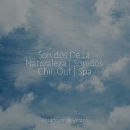 Sonidos De La Naturaleza | Sonidos Chill Out | Spa - Rockabye Lullaby