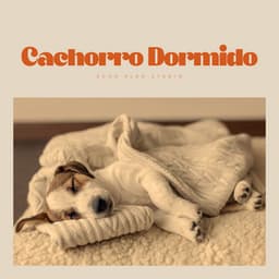 Cachorro Dormido - Música Pura Para Perros