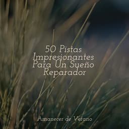 50 Pistas Impresionantes Para Un Sueño Reparador - Sons da Natureza