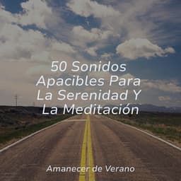 50 Sonidos Apacibles Para La Serenidad Y La Meditación - MÚSICA PARA NIÑOS