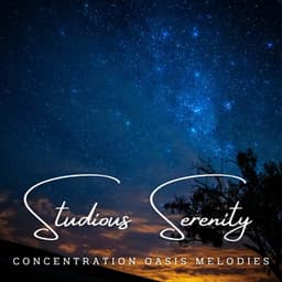 Studious Serenity: Meditative Melodies for Deep Learning - Christian Music Experience