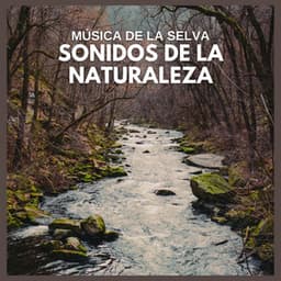 Música de la Selva: Sonidos de la Naturaleza - Sonidos De La Selva