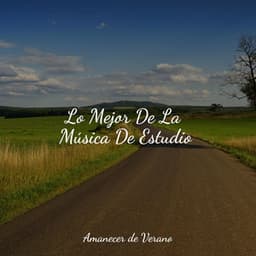Lo Mejor De La Música De Estudio - Musica Relajante Specialistas & Musica Relajante