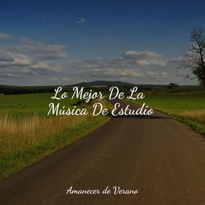 Lo Mejor De La Música De Estudio - Musica Relajante Specialistas & Musica Relajante