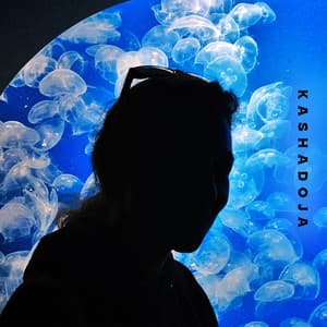 Stardust Glider - KashaDoja