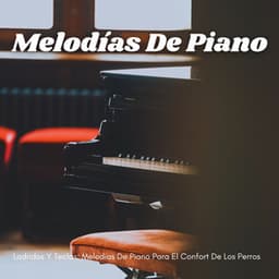 Ladridos Y Teclas: Melodías De Piano Para El Confort De Los Perros - Piano Suave Relajante