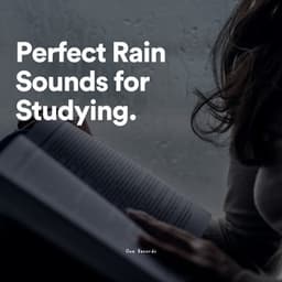 Perfect Rain Sounds for Studying - Rain Sounds for Relaxation