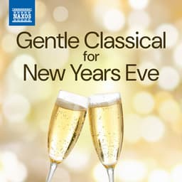 Gentle Classical for New Years Eve - Wolfgang Amadeus Mozart