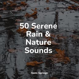50 Serene Rain & Nature Sounds - Nature Recordings