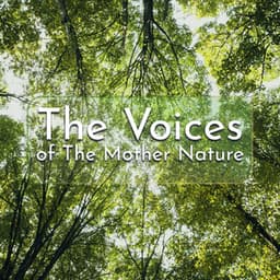 The Voices of The Mother Nature - Sounds of Nature Kingdom