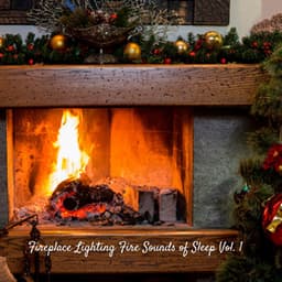 Fireplace Lighting Fire Sounds of Sleep Vol. 1 - Sleep Dog