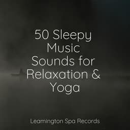 50 Sleepy Music Sounds for Relaxation & Yoga - Calm Down