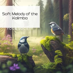 Soft Melody of the Kalimba: A Peaceful Slumber at Forest - Yoga Society