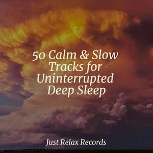 50 Calm & Slow Tracks for Uninterrupted Deep Sleep - Naturaleza Sonidos