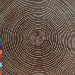 Moksha - Amjad Ali Khan