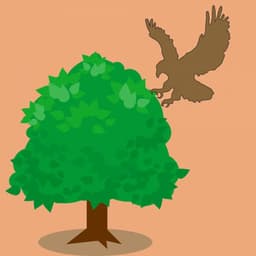 Jazz Organ and Bossa Guitar Trio - French Jazz Lounge