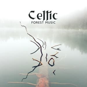Celtic Forest Music: Calm Ambient Vibes - Forest Hills Music Universe