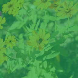 Meditation Music - Yoga Music Playlists