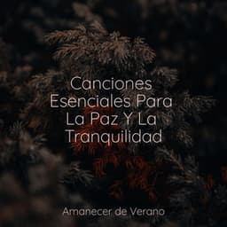 Canciones Esenciales Para La Paz Y La Tranquilidad - Musica Relajante & Yoga