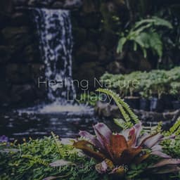 Healing Nature Lullaby - Meditación