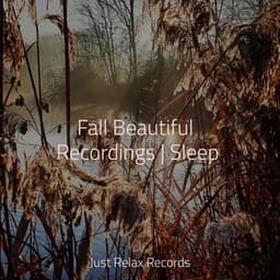 Fall Beautiful Recordings | Sleep - Thunderstorm Sound Bank