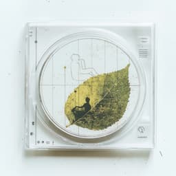 Essence of Euphoria - Calma