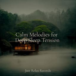 Calm Melodies for Deep Sleep Tension - Sleepy Night Music