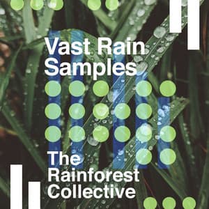 Vast Rain Samples - The Rainforest Collective