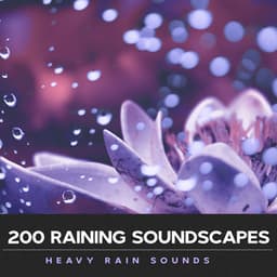 200 Raining Soundscapes - Heavy Rain Sounds