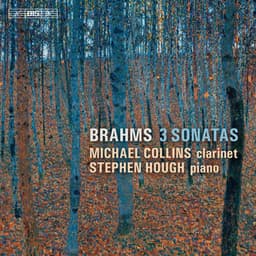 Brahms: 3 Sonatas - Johannes Brahms