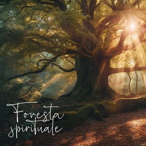 Foresta spirituale: Ambiente naturale per la meditazione profonda - Suoni Naturali Zen