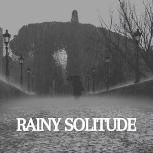 Rainy Solitude - Rainfall Place