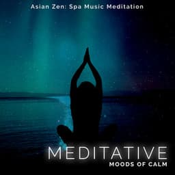Meditative Moods of Calm - Asian Zen: Spa Music Meditation