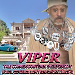 Y'ALL COWARDS DON'T EVEN SMOKE CRACK IV - Viper