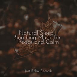 Natural Sleep | Soothing Music for Peace and Calm - Massage Therapy Music