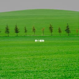 春の植物 - Saturday Morning Jazz Playlist