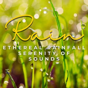 Ethereal Rainfall: Serenity in Sound - Rain Face