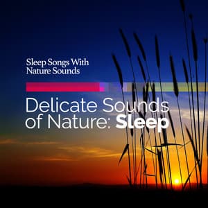 Delicate Sounds of Nature: Sleep - Sleep Songs with Nature Sounds