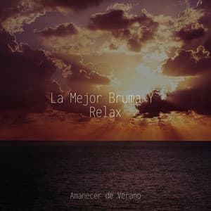 La Mejor Bruma Y Relax - Musica Para Estudiar Academy