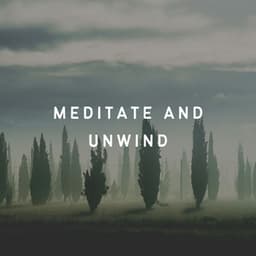 Meditate and Unwind - The White Noise Travelers