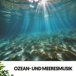 Ozean- und Meeresklänge: Wellen der Melodie für die Seele - Relajacion
