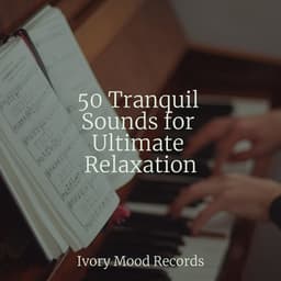 50 Tranquil Sounds for Ultimate Relaxation - Relaxing Instrumental Jazz Academy