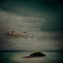 50 Calming Tracks for Ultimate Healing & Meditation - Pro Sound Effects Library