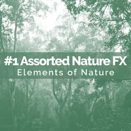 #1 Assorted Nature FX - Elements of Nature